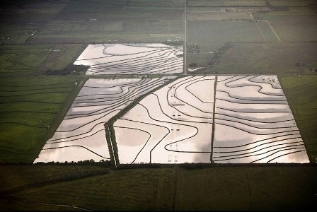 Cánh đồng lúa bị ngập lụt ở Welsh, bang Louisiana, năm 2007
